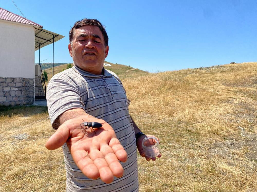 Nesli tükenme tehlikesi altında: Öldürmenin cezası 557 bin TL! 