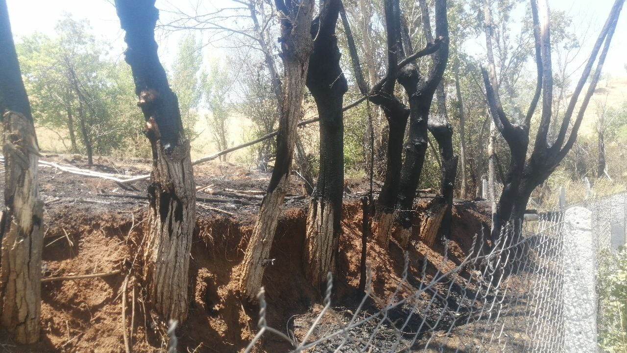 Olay yeri Isparta: Bir köyü yakarak yok edecekti! Köylüleri anonsla yardıma çağırdı - 1. Resim