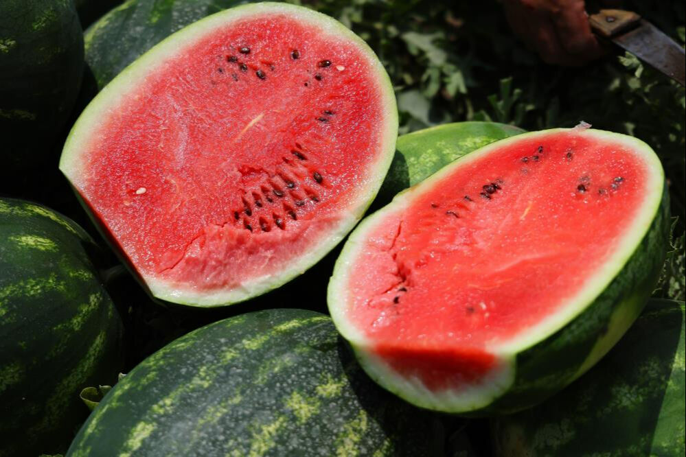 Sosyal medya günlerdir bunu tartışıyor: Türkiye'nin en iyi karpuzu nerede yetişir? Peş peşe açıklamalar - 1. Resim