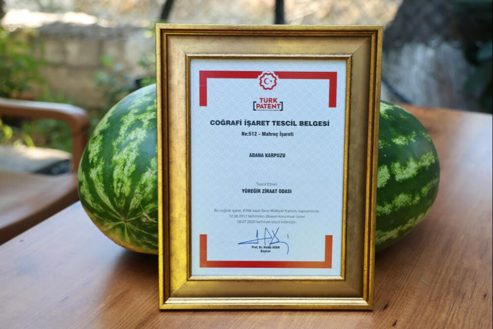 Sosyal medya günlerdir bunu tartışıyor: Türkiye'nin en iyi karpuzu nerede yetişir? Peş peşe açıklamalar - 2. Resim