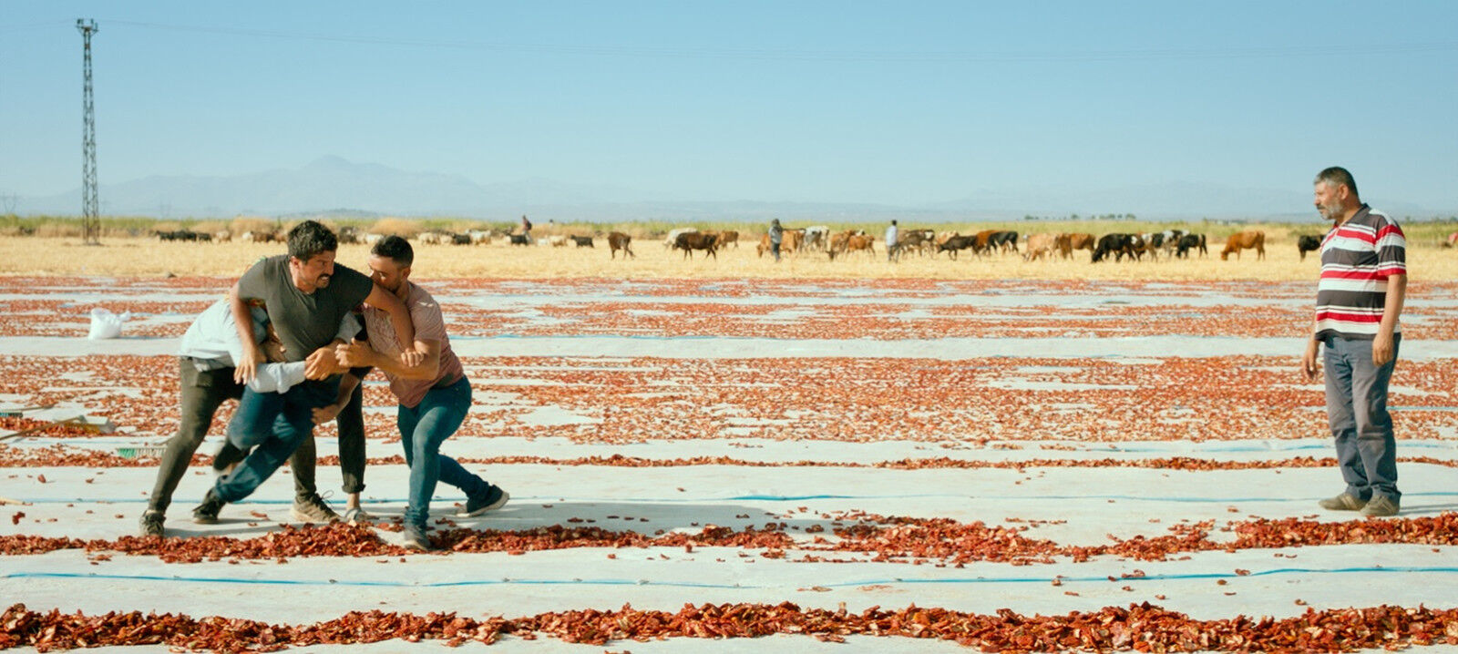 Türkiye’nin Oscar adayı avukat yönetmenin ilk filmi - 1. Resim