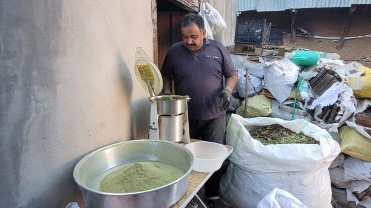 Yaşam