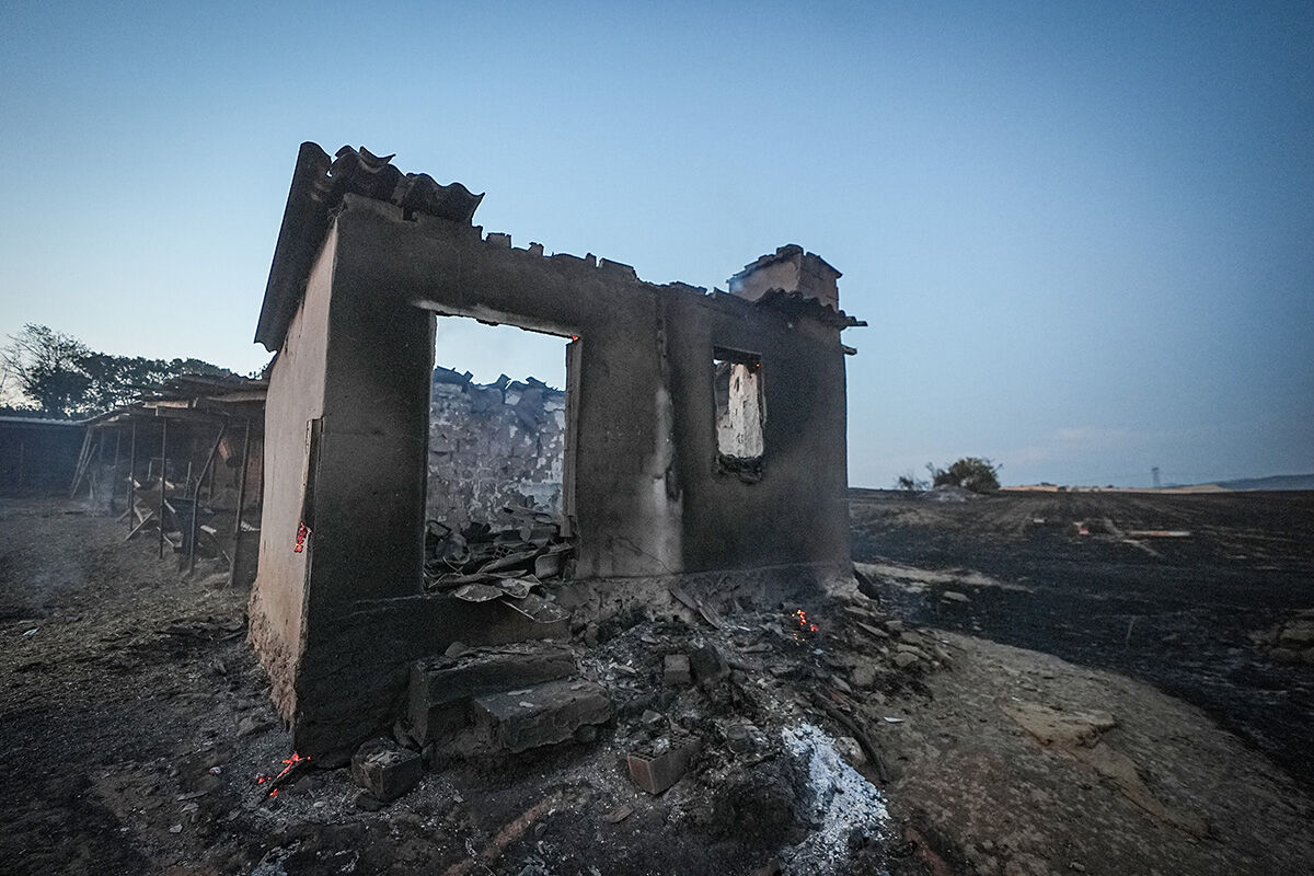Başında nöbet tutup sarıldılar! Alevlerin arasından kurtarılan koyun yürek burktu - 1. Resim