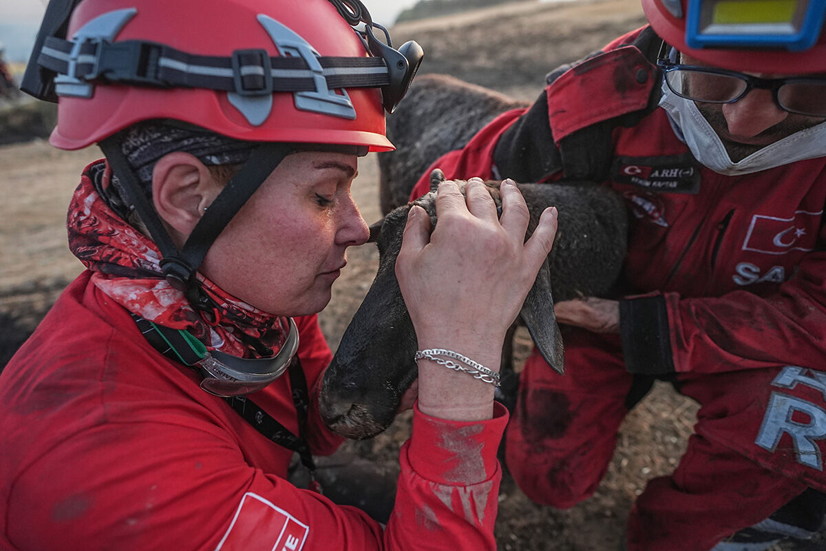 Başında nöbet tutup sarıldılar! Alevlerin arasından kurtarılan koyun yürek burktu - 4. Resim