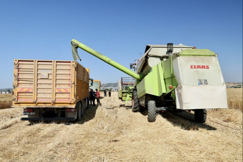 Belediye arazisinde hasat bitti! Hem &ccedil;ift&ccedil;iye hem de ihtiya&ccedil; sahibine verilecek - 3. Resim