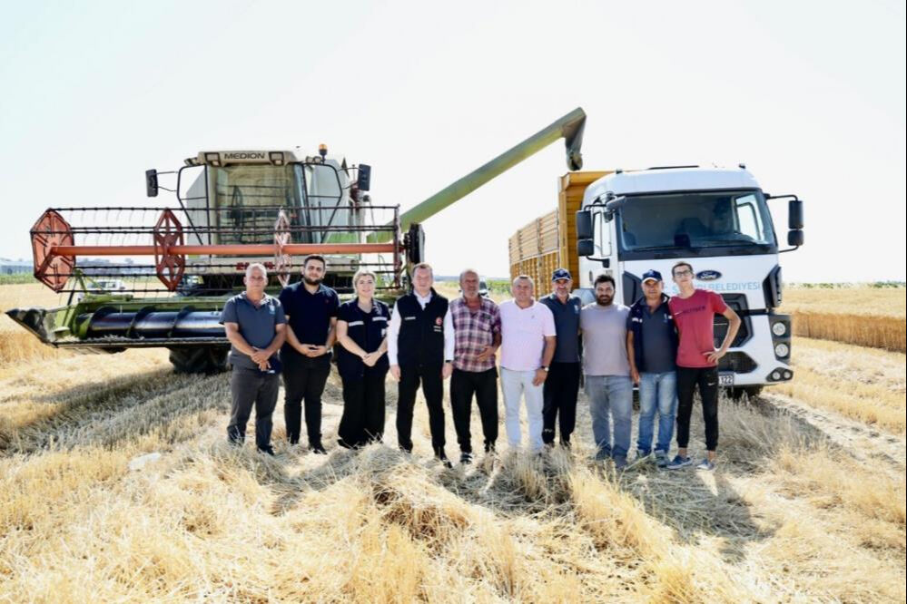 Belediye arazisinde hasat bitti! Hem &ccedil;ift&ccedil;iye hem de ihtiya&ccedil; sahibine verilecek - 2. Resim