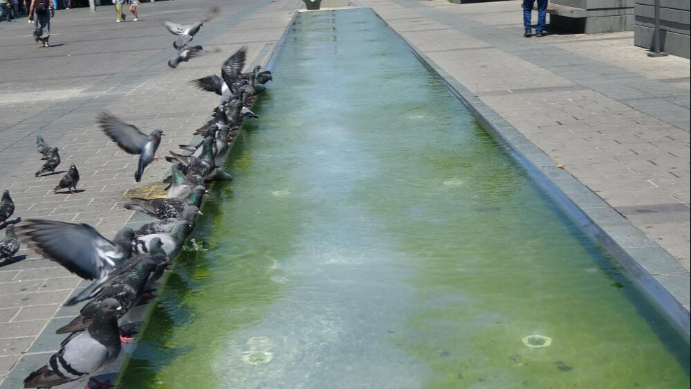 İstanbul'un sıcakla imtihanı... Damacana da çare olmadı: Hava 40 derece, hissedilen 60 derece! - 2. Resim