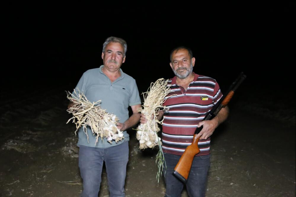 Kilosu 250 liraya kapış kapış satılıyor! 