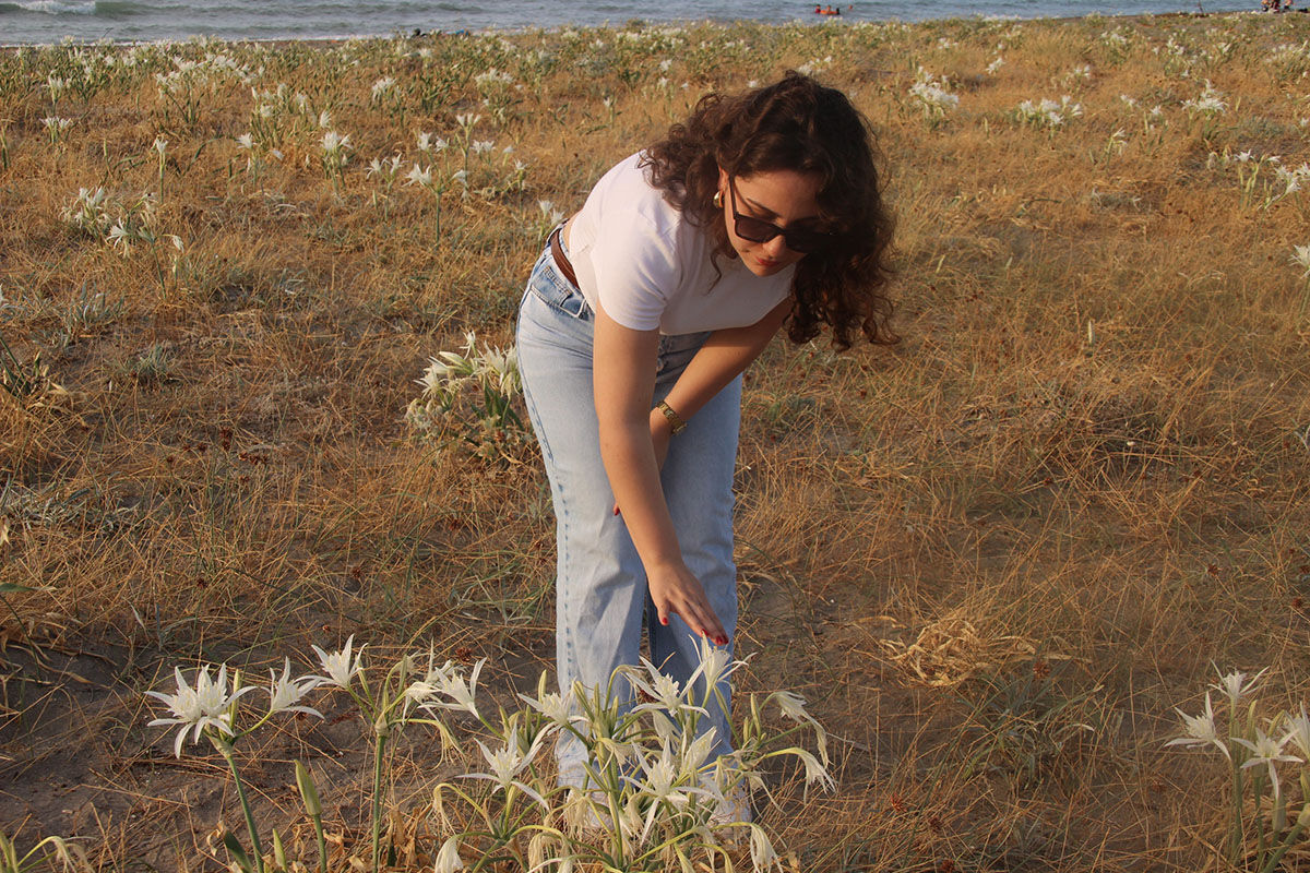 Koparsalar 387 bin lira ceza ödeyeceklerdi! Kum zambakları bütün sahile yayıldı - 3. Resim