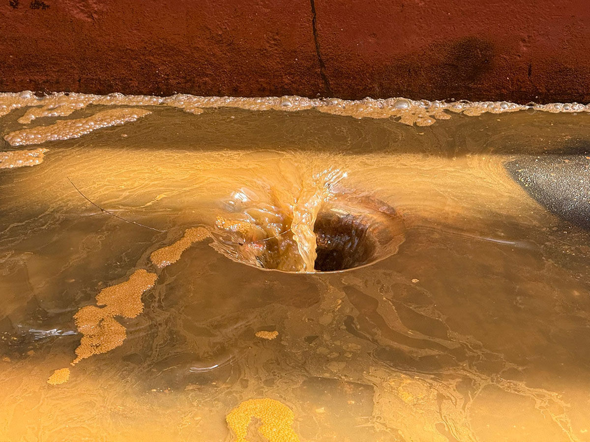 Yalova’daki tersaneye çevre kirliliği cezası