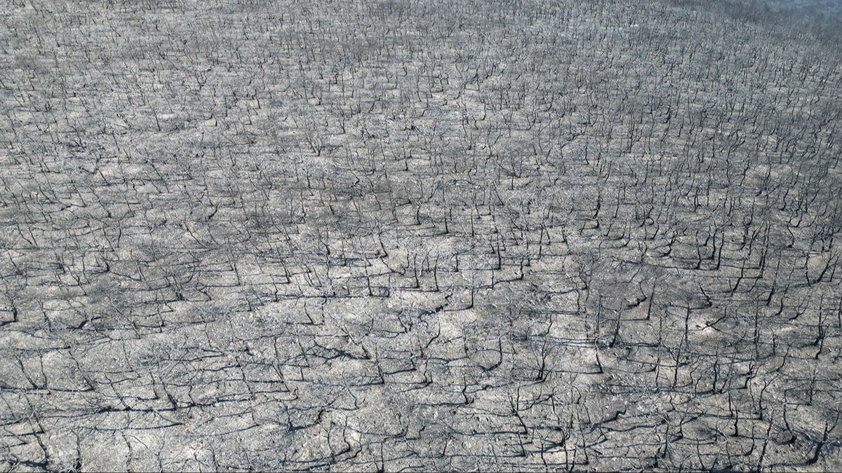 Şarköy küle döndü, görüntüler yürek sızlattı! Zararın boyutu dronla görüntülendi - 3. Resim