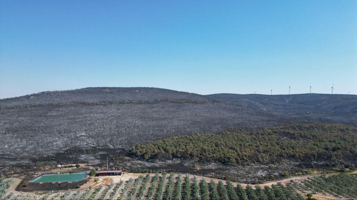 Şarköy küle döndü, görüntüler yürek sızlattı! Zararın boyutu dronla görüntülendi - 6. Resim