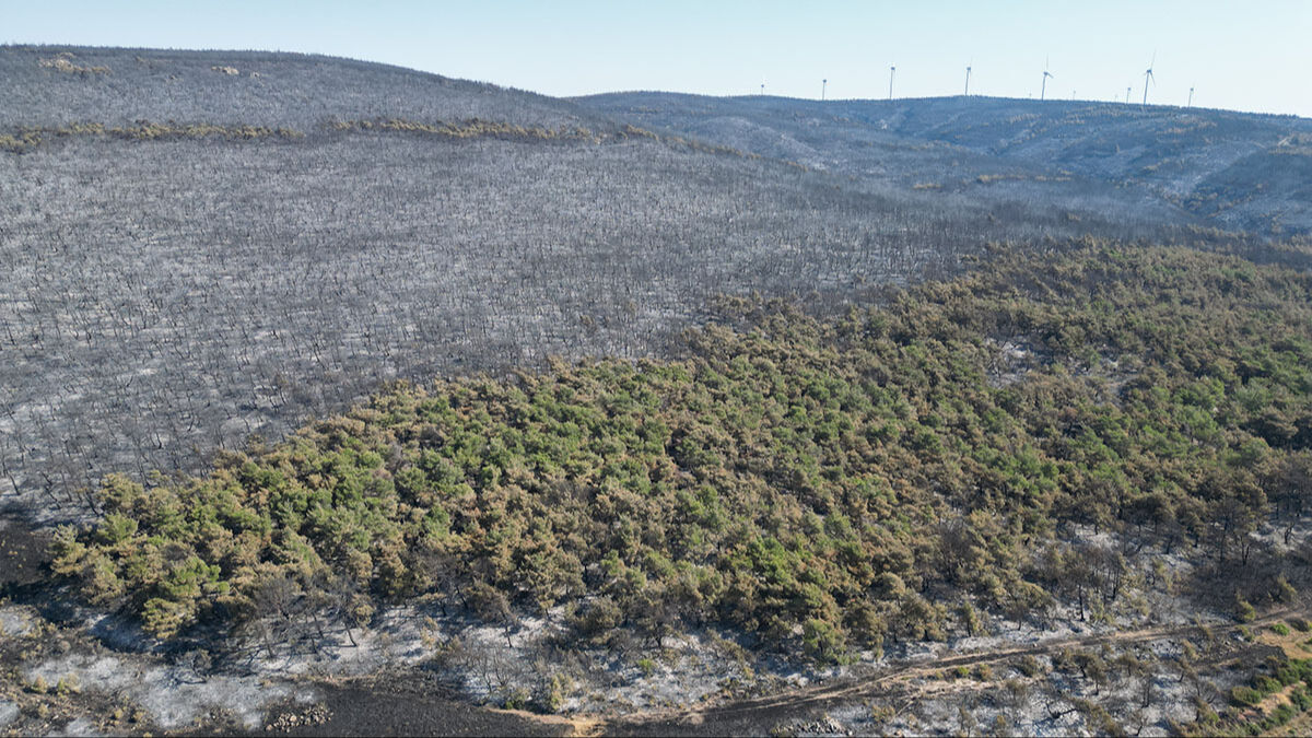 Şarköy küle döndü, görüntüler yürek sızlattı! Zararın boyutu dronla görüntülendi - 1. Resim