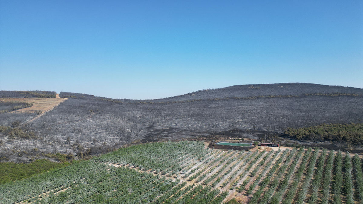 Şarköy küle döndü, görüntüler yürek sızlattı! Zararın boyutu dronla görüntülendi - 5. Resim