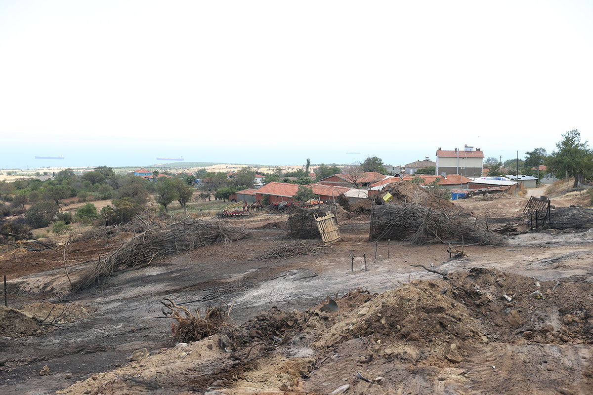 Şarköy küle döndü, görüntüler yürek sızlattı! Zararın boyutu dronla görüntülendi - 4. Resim