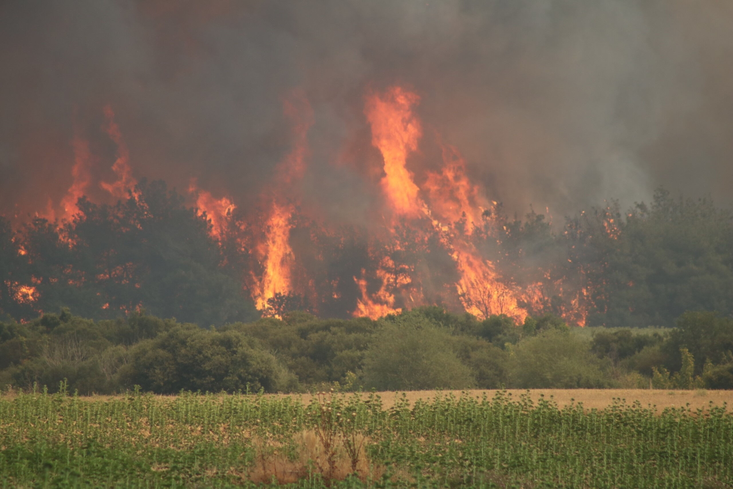 Şark&ouml;y yangın s&ouml;nd&uuml; m&uuml;, son durum&nbsp;ne? - 1. Resim