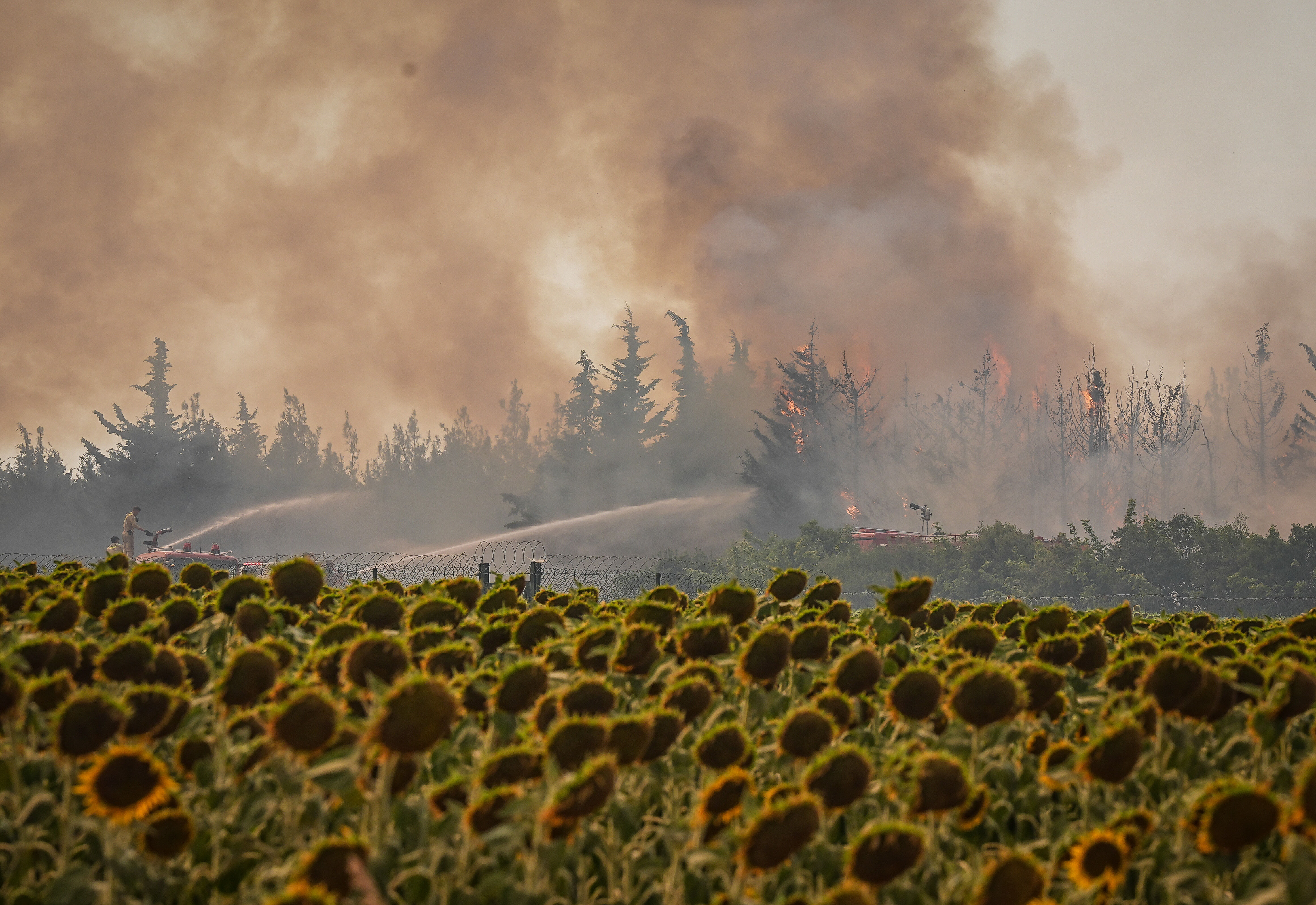Şarköy’deki yangın 42 saat sonra kontrol altına alındı