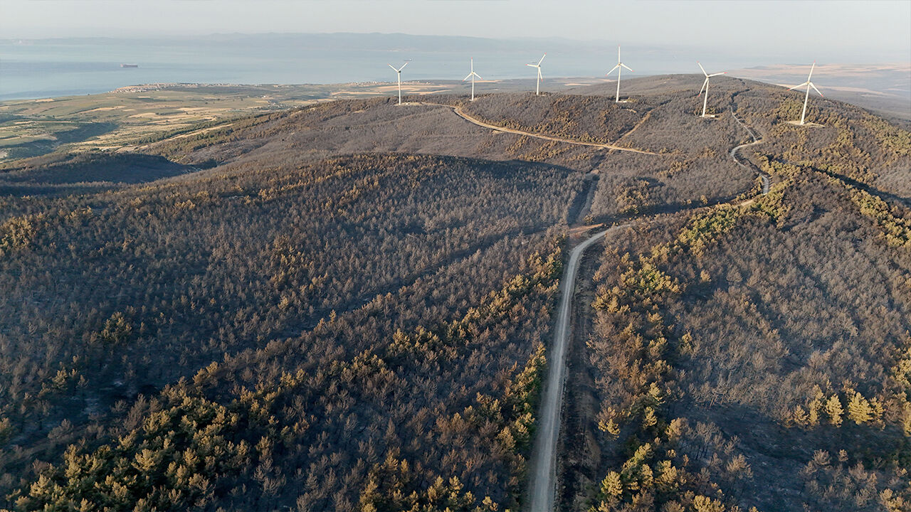 Şarköy'deki yangın söndü mü? Beklenen haber 42. saatte geldi - 2. Resim