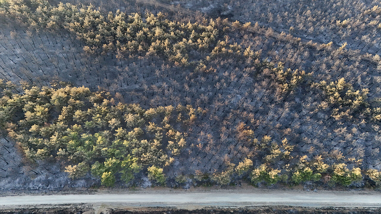 Şarköy'deki yangın söndü mü? Beklenen haber 42. saatte geldi - 3. Resim