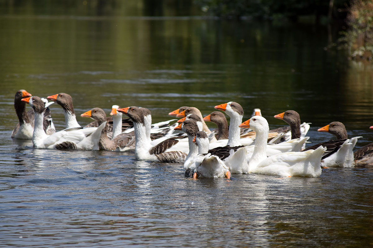 Ünlü kanyon eski güzel günlerini yaşıyor! Ziyaretler yeniden başladı - 8. Resim