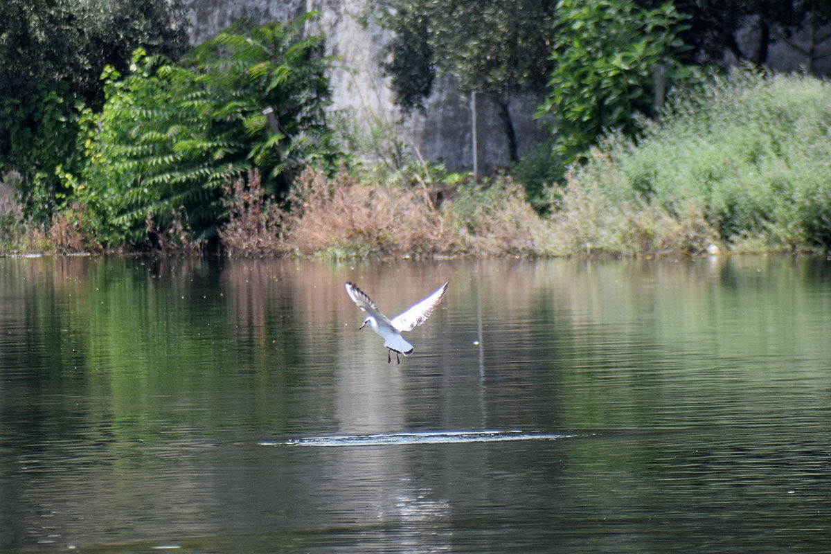 Ünlü kanyon eski güzel günlerini yaşıyor! Ziyaretler yeniden başladı - 6. Resim