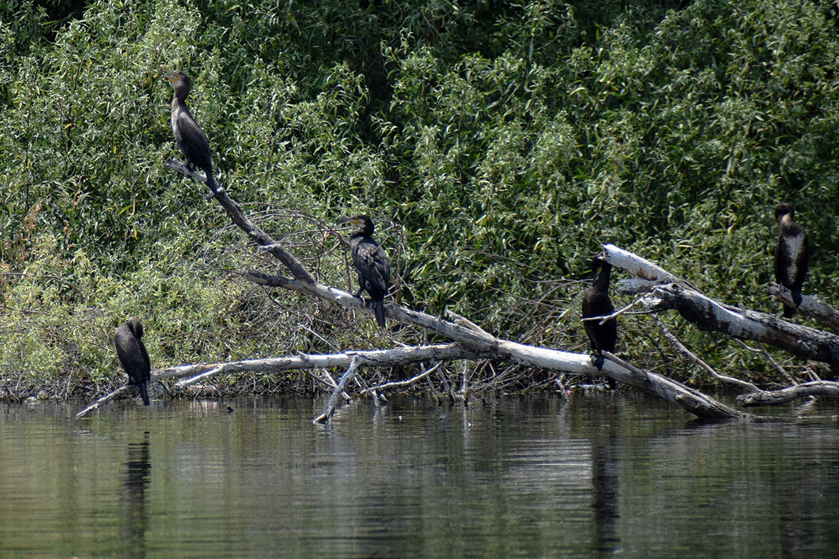 Ünlü kanyon eski güzel günlerini yaşıyor! Ziyaretler yeniden başladı - 7. Resim