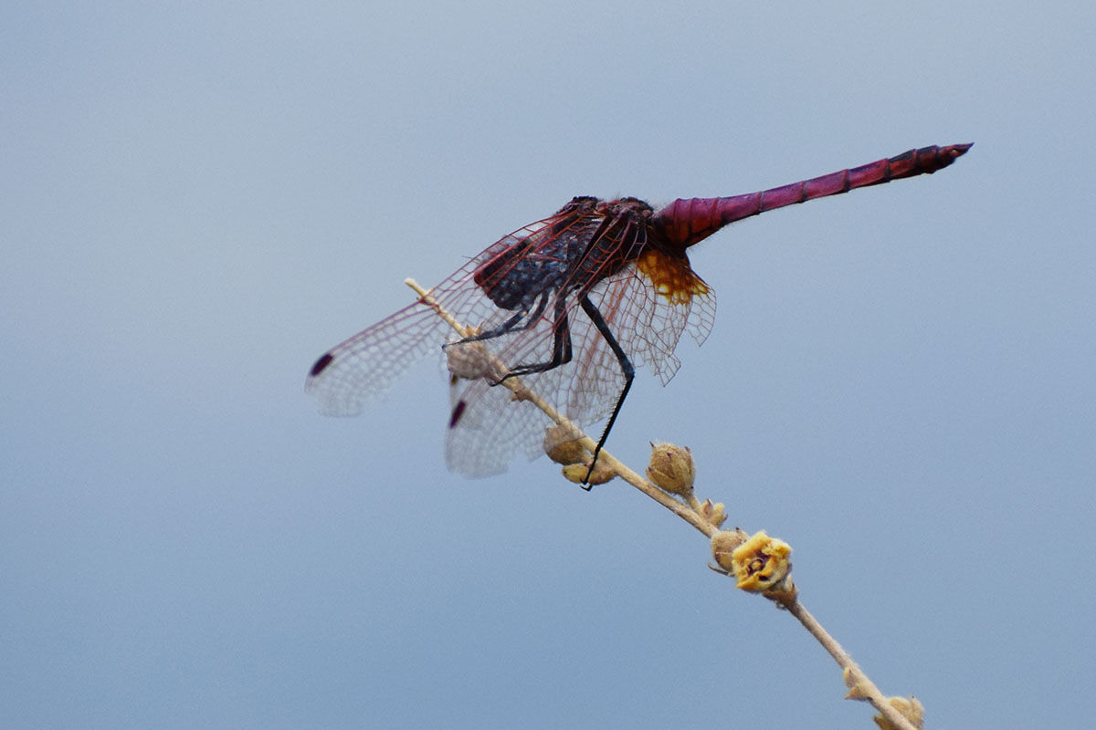 Ünlü kanyon eski güzel günlerini yaşıyor! Ziyaretler yeniden başladı - 10. Resim