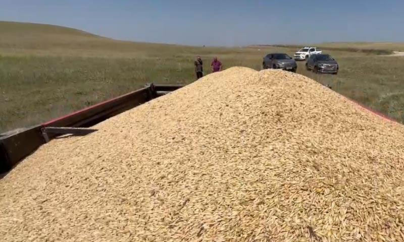 ‘Yapma, etme’ diyenleri dinlemedi, ‘Bismillah’ ile başladı! Paraya para demiyor: Herkese tavsiyem... - 2. Resim