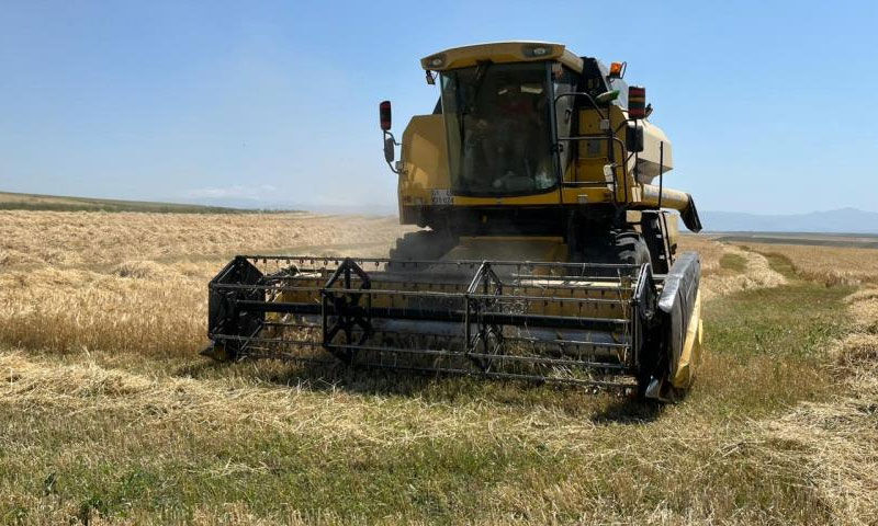 ‘Yapma, etme’ diyenleri dinlemedi, ‘Bismillah’ ile başladı! Paraya para demiyor: Herkese tavsiyem... - 5. Resim