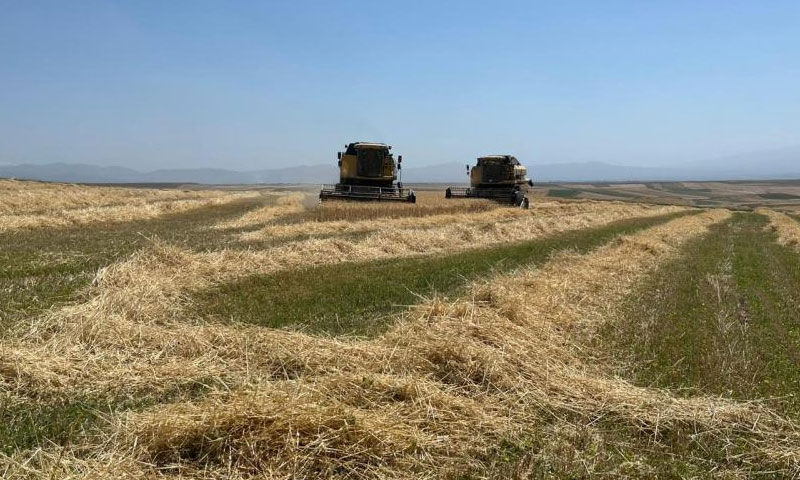 ‘Yapma, etme’ diyenleri dinlemedi, ‘Bismillah’ ile başladı! Paraya para demiyor: Herkese tavsiyem... - 1. Resim