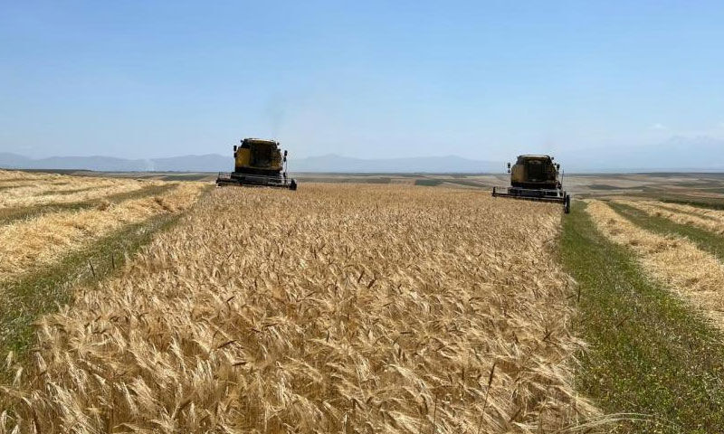 ‘Yapma, etme’ diyenleri dinlemedi, ‘Bismillah’ ile başladı! Paraya para demiyor: Herkese tavsiyem... - 3. Resim