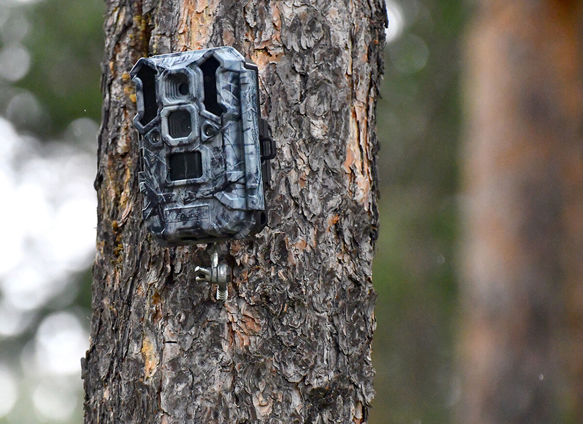 Bilim adamları incelemeye aldı: Neden hepsi aynı yerde kaşınıyor? - 2. Resim