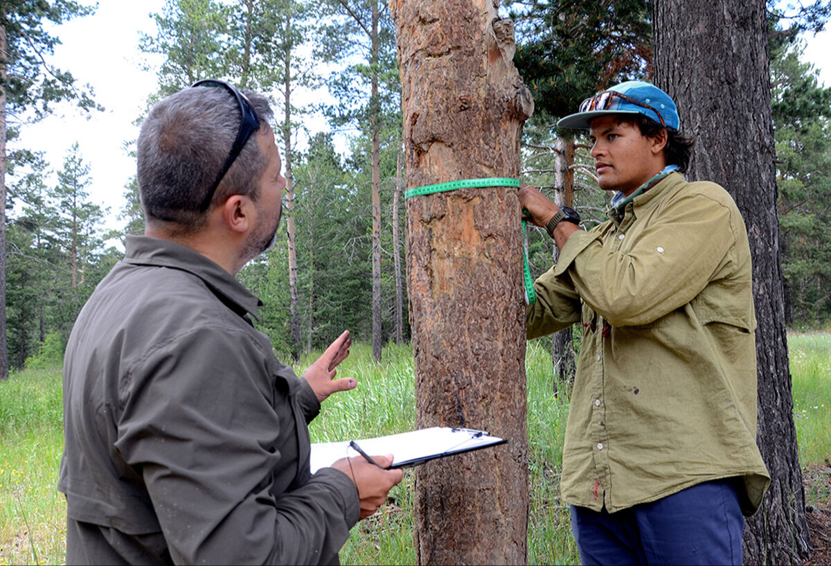 Bilim adamları incelemeye aldı: Neden hepsi aynı yerde kaşınıyor? - 1. Resim