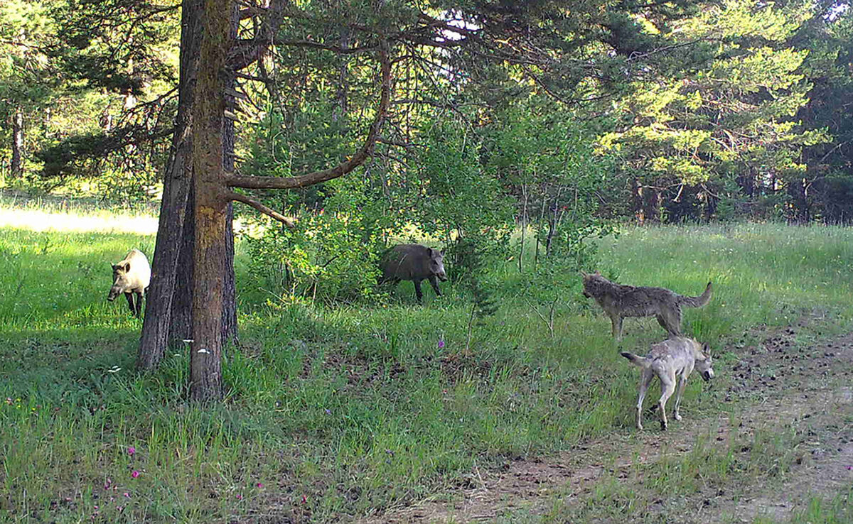 Bilim adamları incelemeye aldı: Neden hepsi aynı yerde kaşınıyor? - 5. Resim