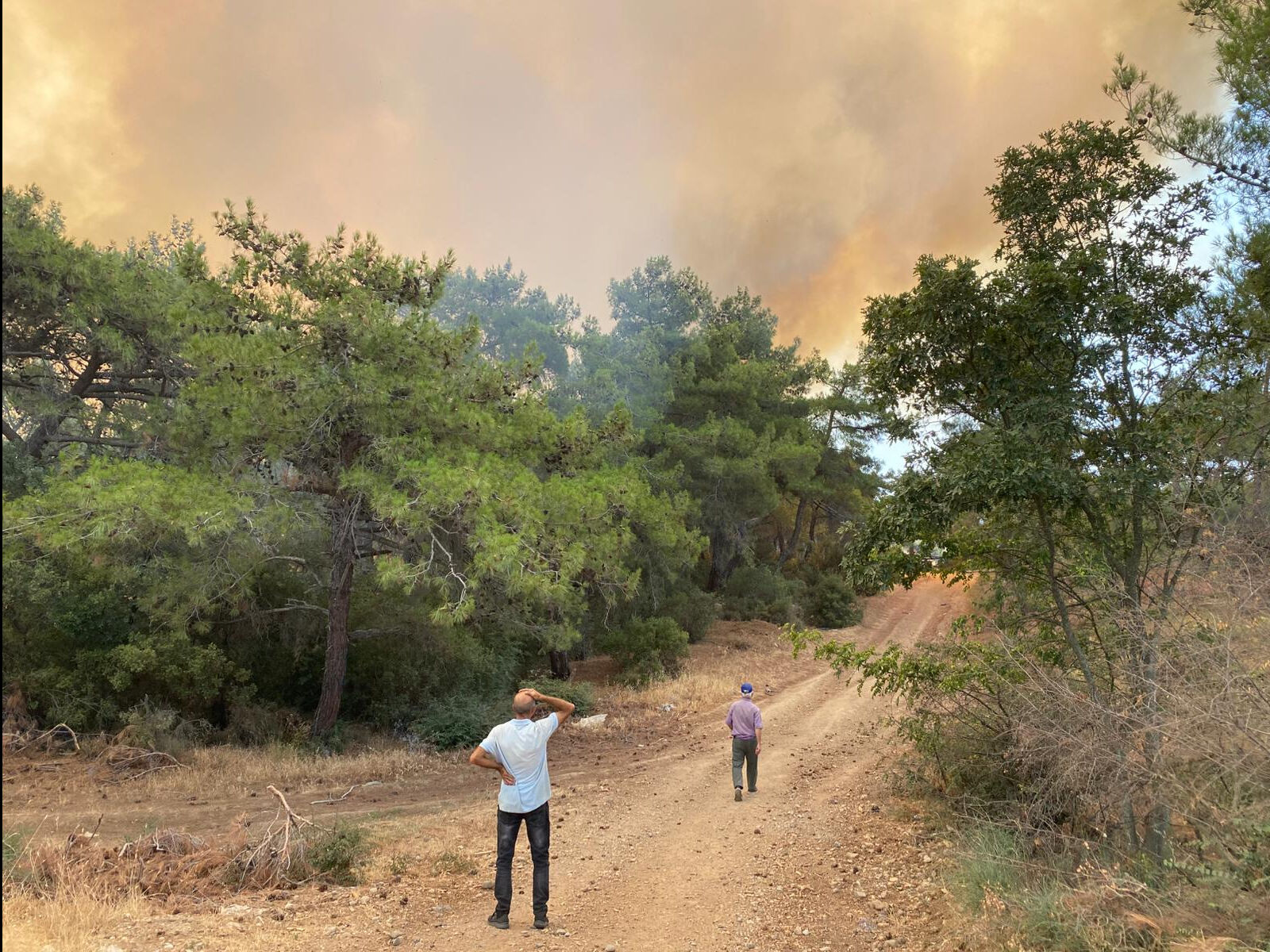 Çanakkale'de orman yangını! Alevler büyüyor, ekipler olay yerinde - 2. Resim