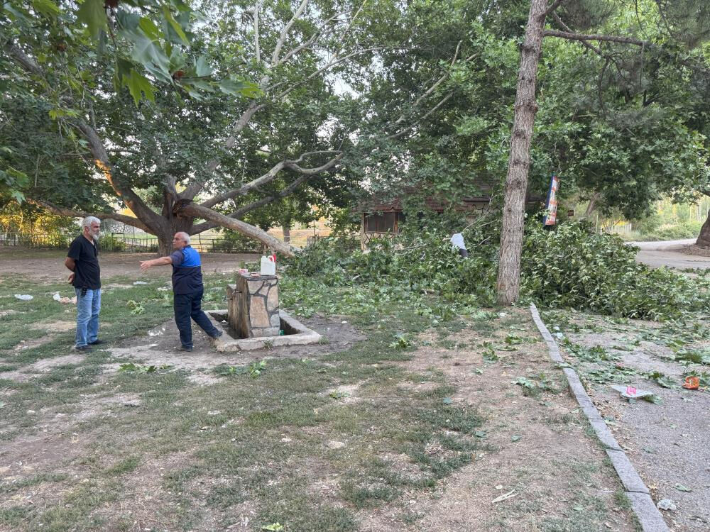Çınar ağacının dalı piknik yapan ailenin üstüne düştü! Çok sayıda yaralı var - 3. Resim
