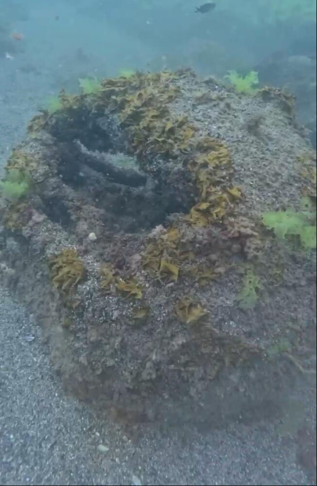 Dalgı&ccedil;lar 8 metre derinde buldu! 1.5 metre &ccedil;apında... İncelemek i&ccedil;in &ouml;zel ekip g&ouml;nderildi - 1. Resim