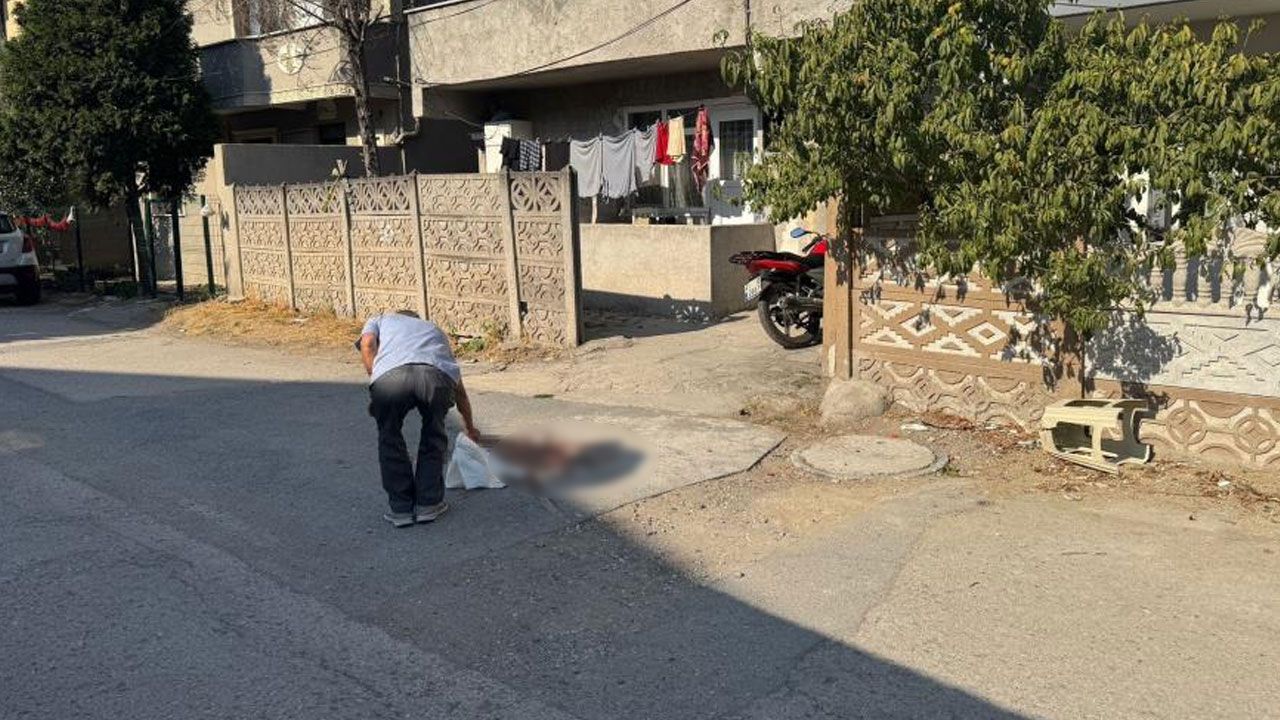 Pompalı dehşeti! Sakarya’da babasını vuran genç tutuklandı Pompalı dehşeti! Sakarya’da babasını vuran genç tutuklandı