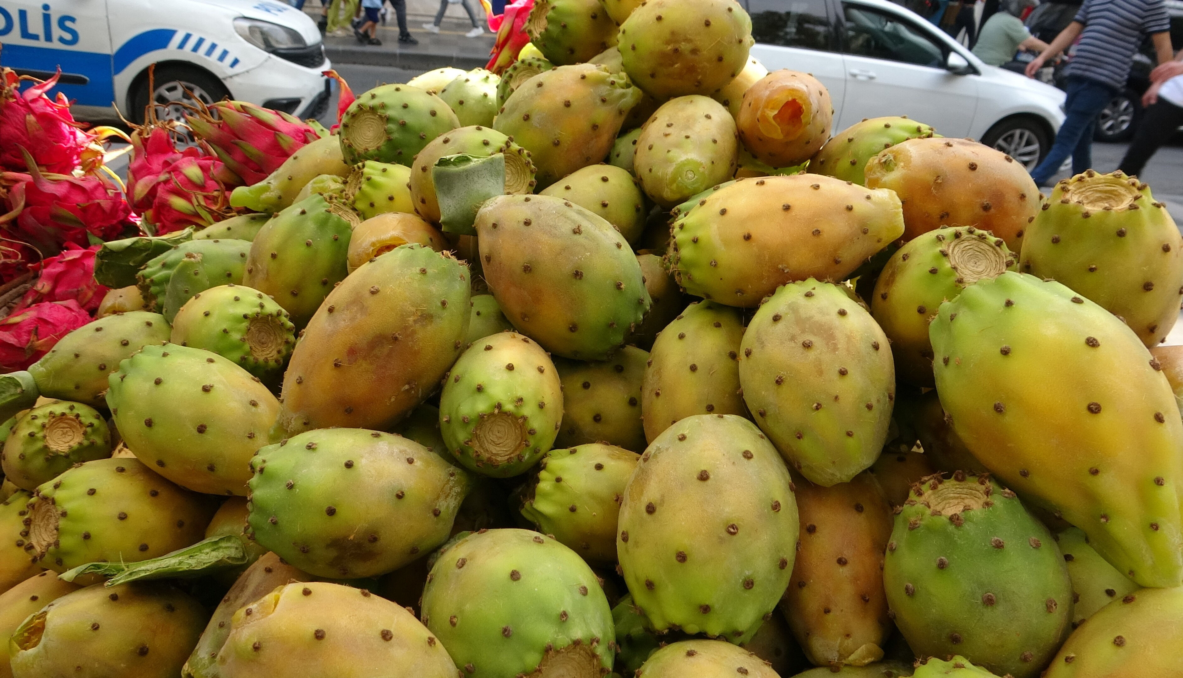 Tanesi 10 liradan satılıyor, esnaf talebe yetişemiyor! Kuzey Afrika'nın en sevilen 'dikenli' meyvesi Türkiye'de Tanesi 10 liradan satılıyor, esnaf talebe yetişemiyor! Kuzey Afrika'nın en sevilen 'dikenli' meyvesi Türkiye'de - 1. Resim