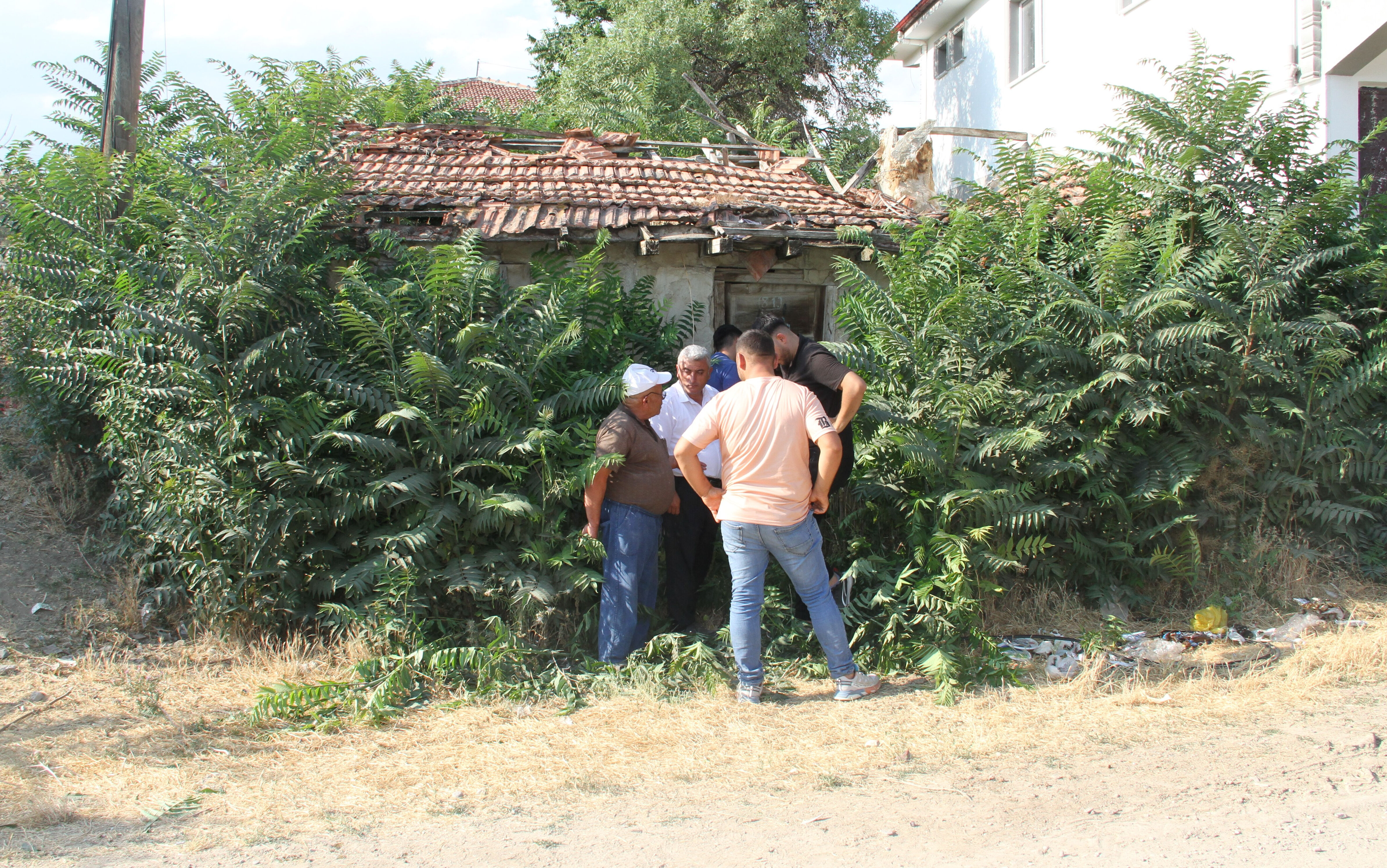 Bir kent bunu konuşuyor! Keloğlan'ın doğduğu ev ve eşeği bulundu Bir kent bunu konuşuyor! Keloğlan'ın doğduğu ev ve eşeği bulundu - 4. Resim