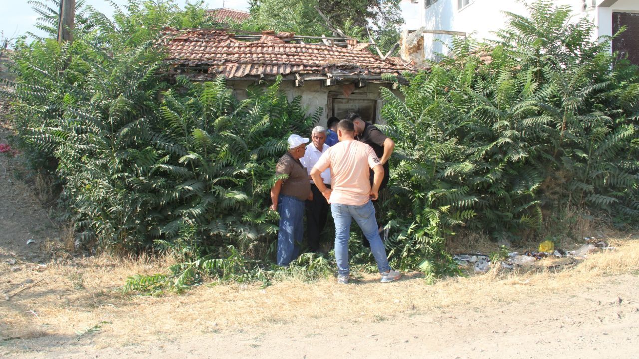 Bir kent bunu konuşuyor! Keloğlan'ın doğduğu ev ve eşeği bulundu Bir kent bunu konuşuyor! Keloğlan'ın doğduğu ev ve eşeği bulundu