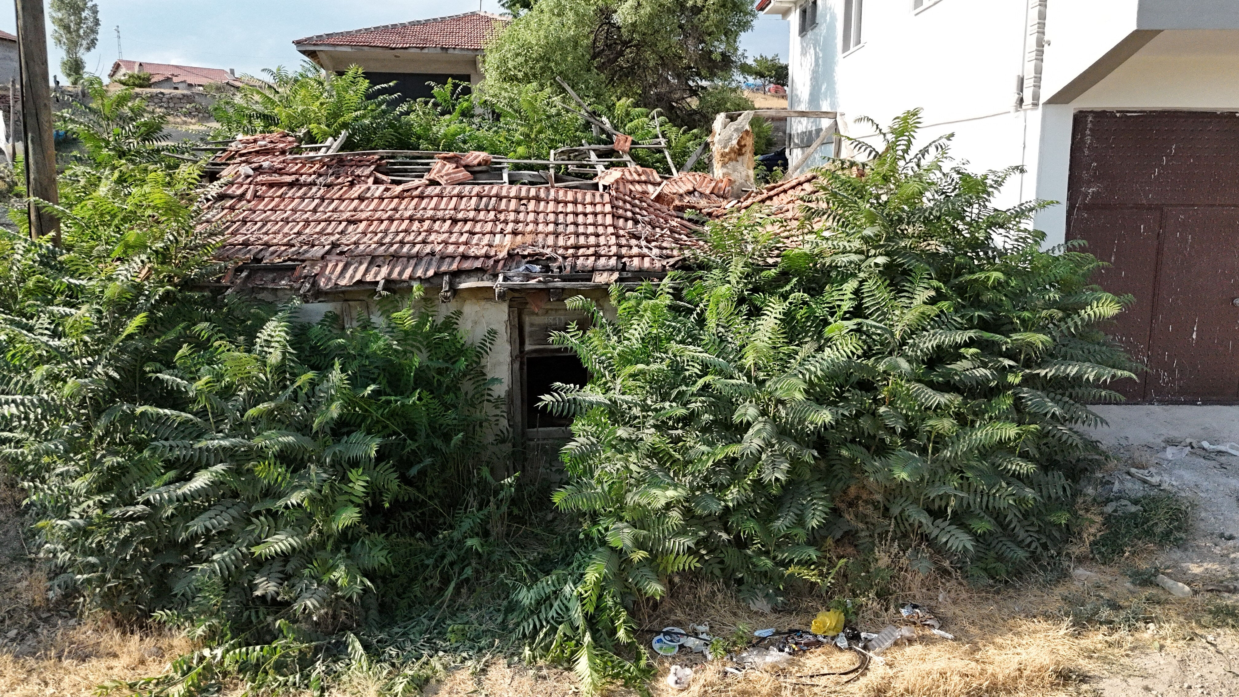 Bir kent bunu konuşuyor! Keloğlan'ın doğduğu ev ve eşeği bulundu Bir kent bunu konuşuyor! Keloğlan'ın doğduğu ev ve eşeği bulundu - 1. Resim