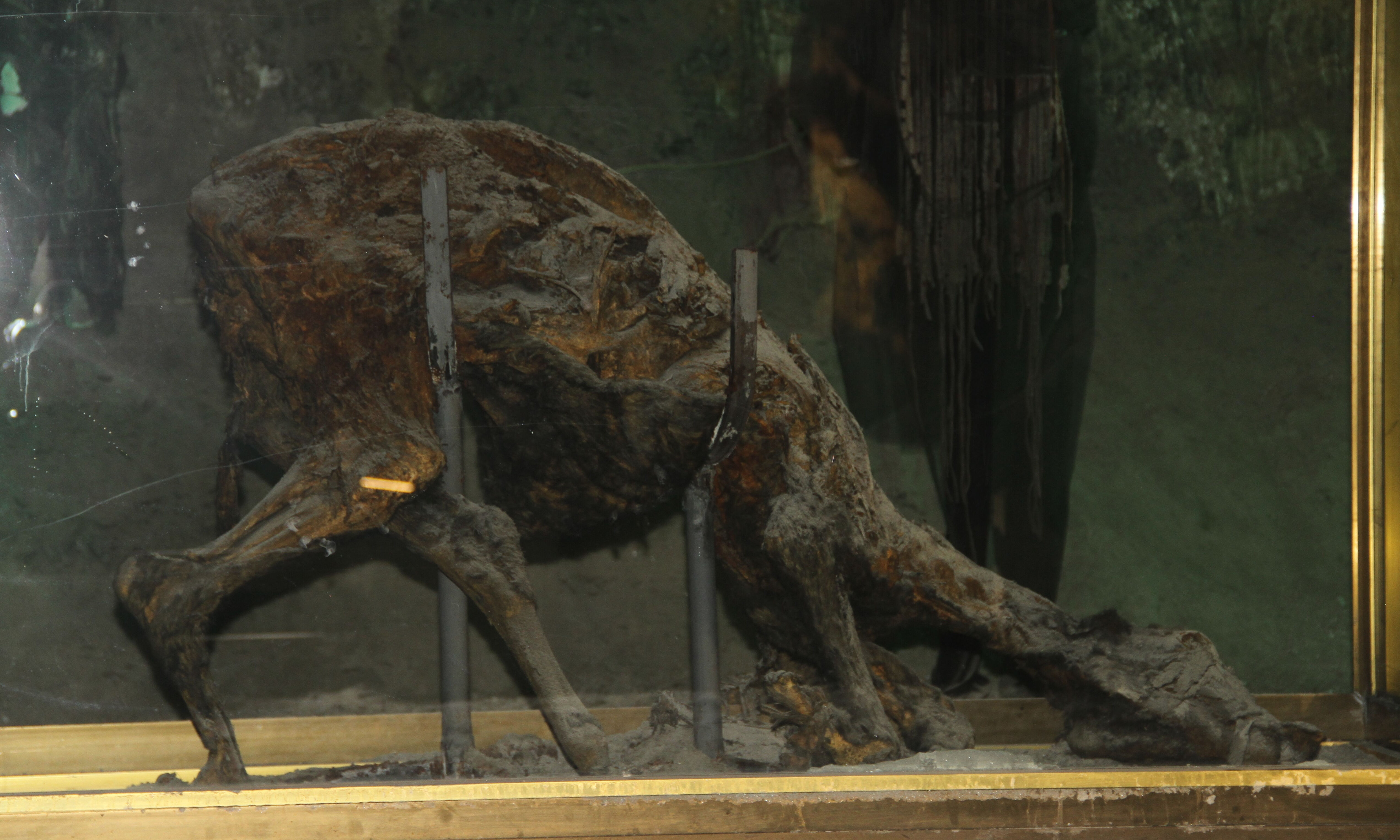 Bir kent bunu konuşuyor! Keloğlan'ın doğduğu ev ve eşeği bulundu Bir kent bunu konuşuyor! Keloğlan'ın doğduğu ev ve eşeği bulundu - 2. Resim