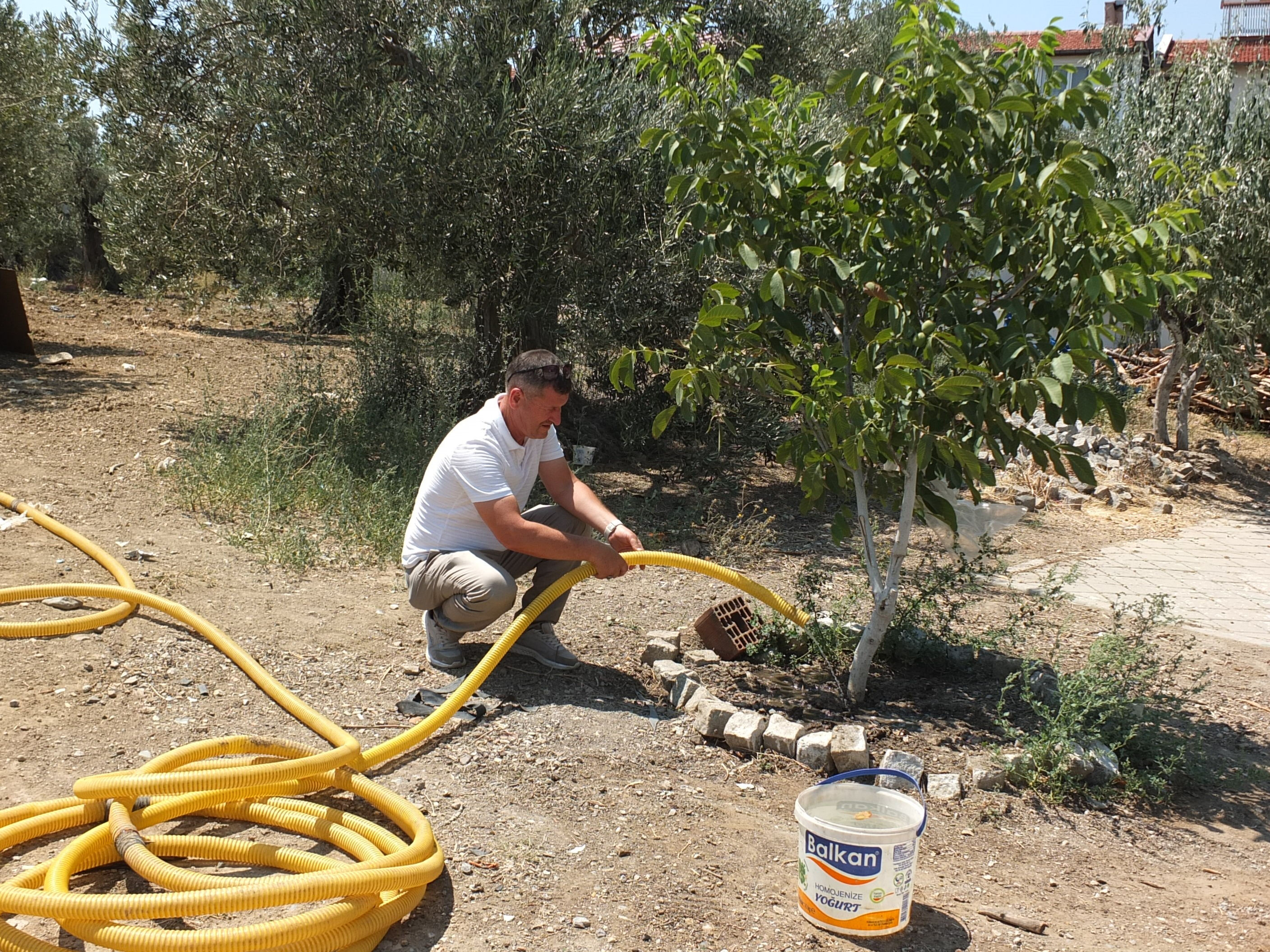 Boş alanları meyve bahçesine dönüştürdü! 4 yıllık emek hasadını büyütecek - 1. Resim