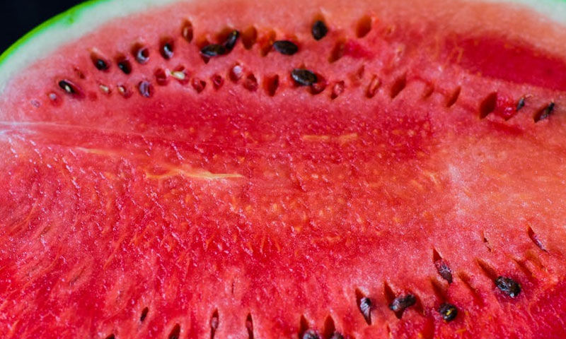 Dikkat, zehirleyebilir! ‘Karpuzu kesmeden önce yıkayın’ uyarısı… - 1. Resim