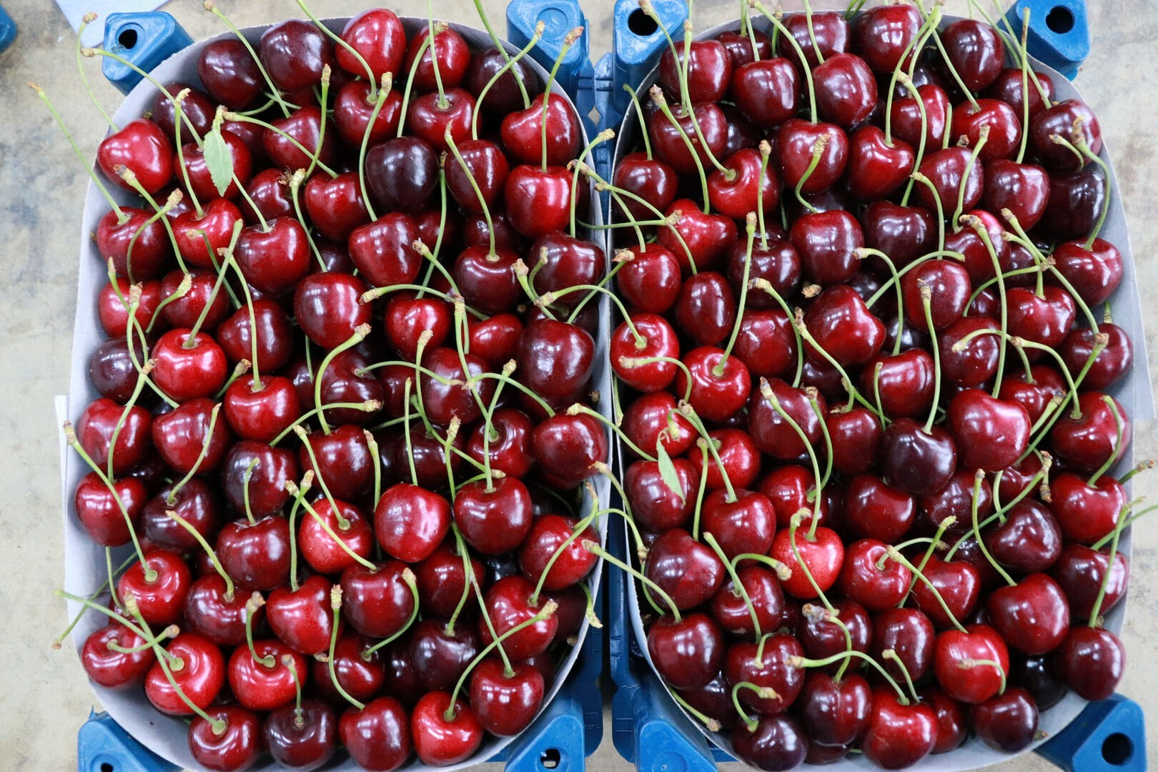 Dünyada birinciydik şimdi üretici bile yiyemiyor... 2026 için kötü senaryo! Zam dalgası ambalajlı gıdaya da sarkacak Dünyada birinciydik şimdi üretici bile yiyemiyor... 2026 için kötü senaryo! Zam dalgası ambalajlı gıdaya da sarkacak - 1. Resim