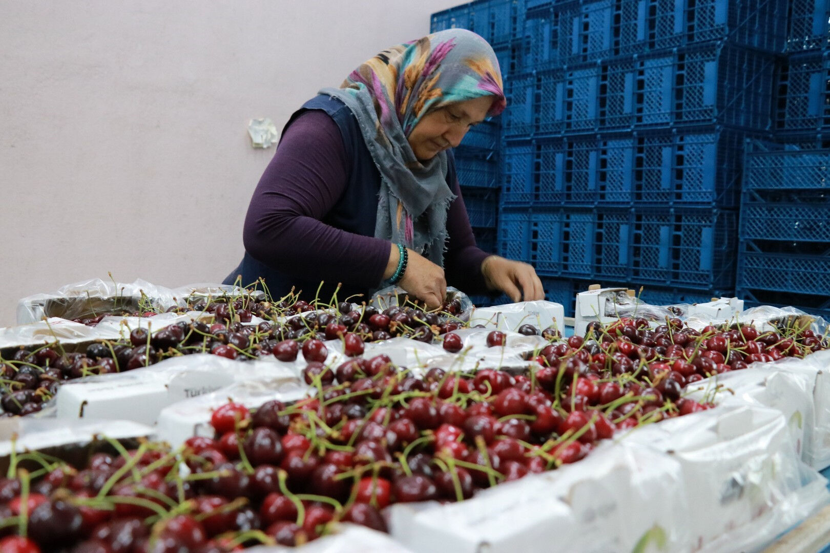 Dünyada birinciydik şimdi üretici bile yiyemiyor... 2026 için kötü senaryo! Zam dalgası ambalajlı gıdaya da sarkacak Dünyada birinciydik şimdi üretici bile yiyemiyor... 2026 için kötü senaryo! Zam dalgası ambalajlı gıdaya da sarkacak - 2. Resim