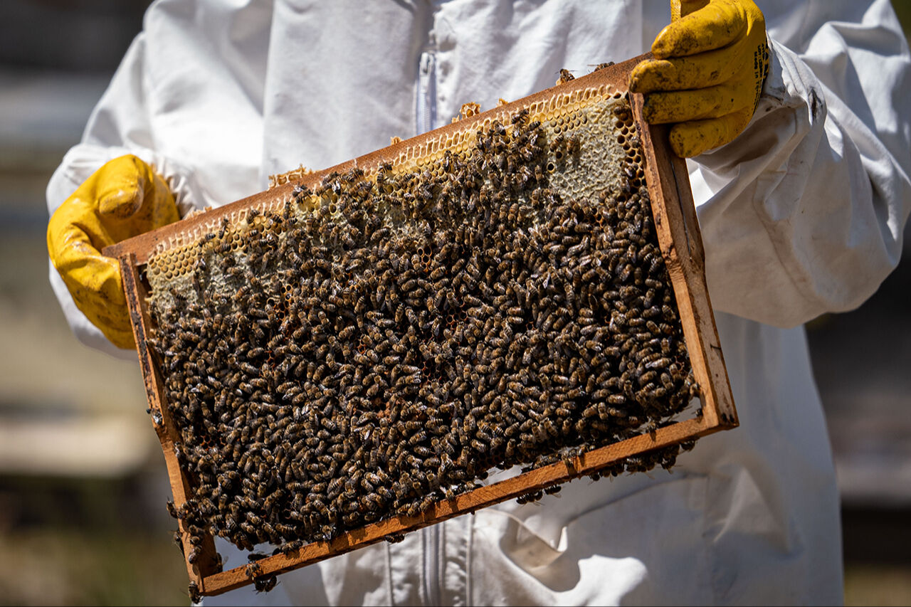 Kanseri yendi, doktorun tavsiyesi sayesinde hayatı değişti: 15 gün burada kaldığında kanın değişiyor! - 3. Resim