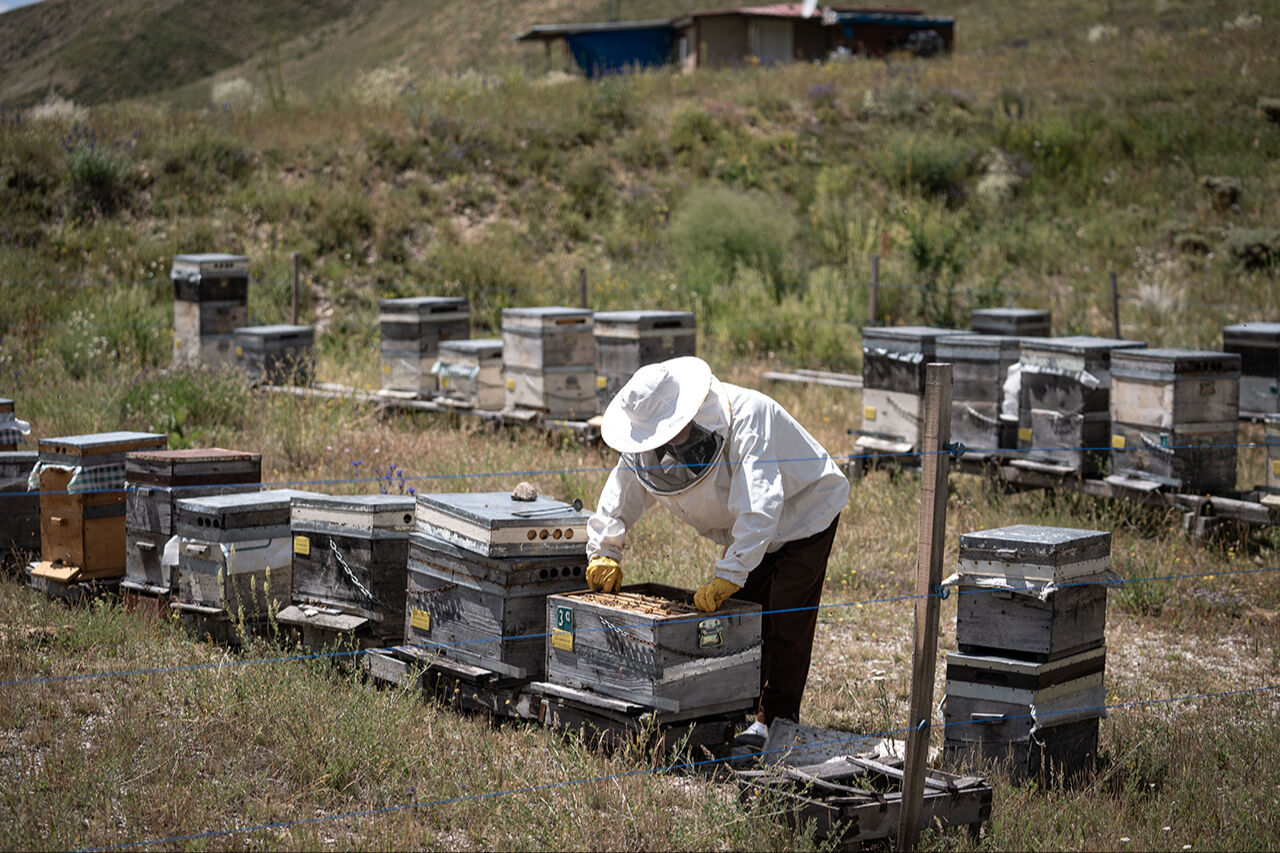 Kanseri yendi, doktorun tavsiyesi sayesinde hayatı değişti: 15 gün burada kaldığında kanın değişiyor! - 4. Resim