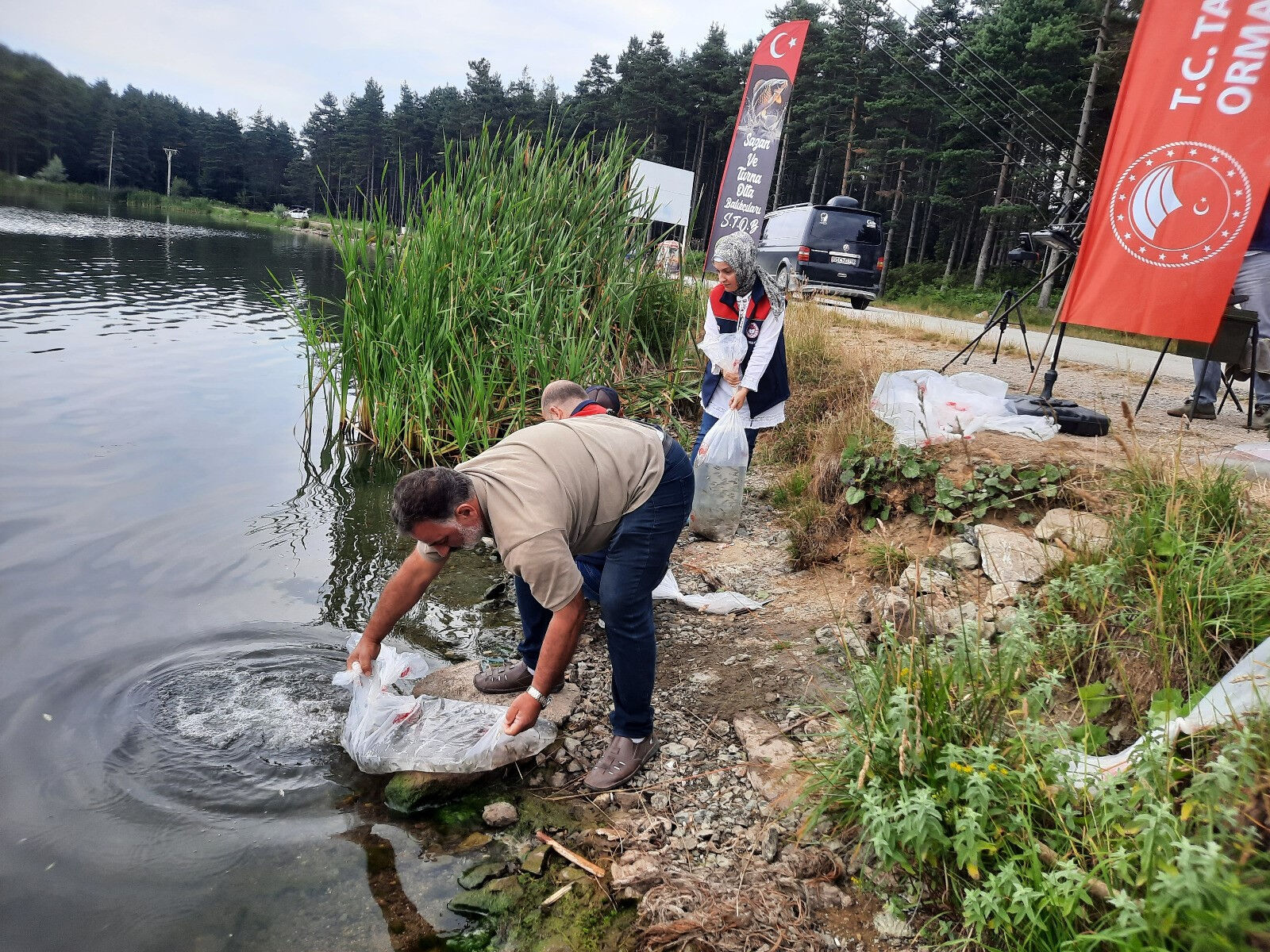 Topuk Yaylası'na 100 bin sazan! Ekosistem korunacak, ekonomiye katkı artacak - 2. Resim